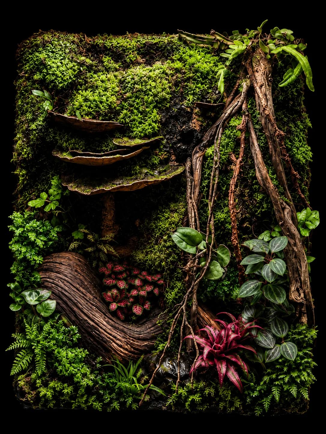 Terrarium